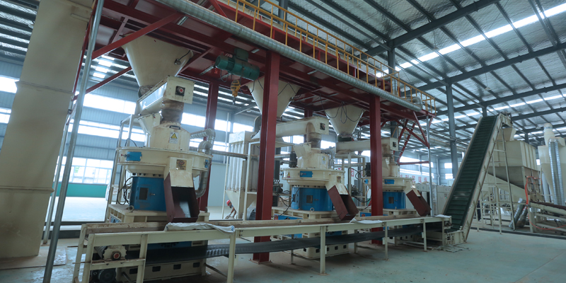 Jiangsu 20t/h Wood Pellet Production Line