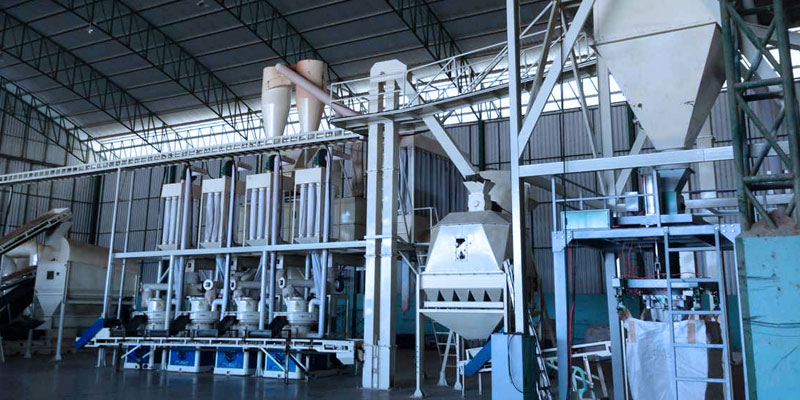 Thailand 6t/h Wood Pellet Production Line