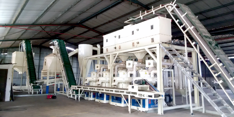 Malaysia 6t/h Wood Pellet Production Line