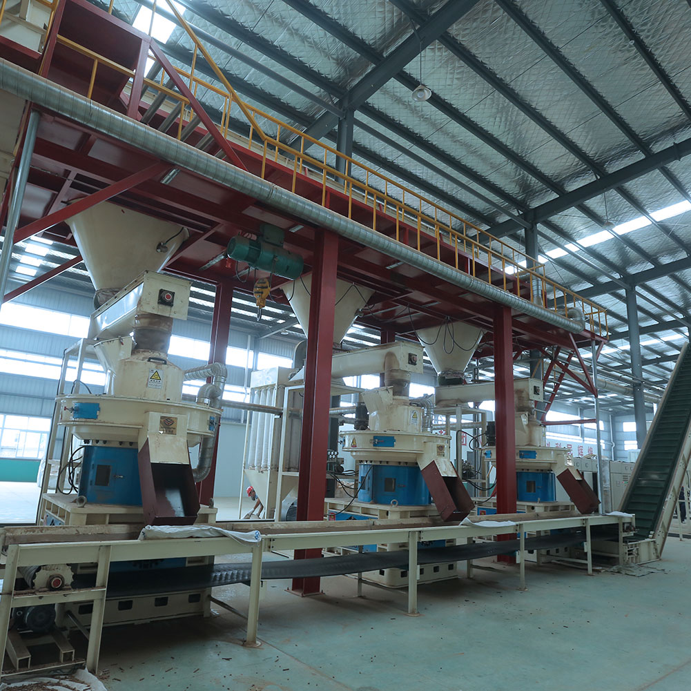 Jiangsu 20t/h Wood Pellet Production Line